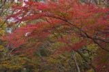 _DSC6778_pb.jpg