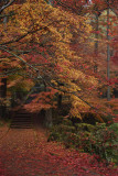 _DSC4584_pb.jpg