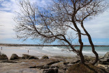 Yamba