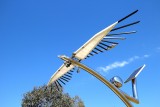The Eagle ~ Berrinba Wetlands