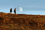 Moon Walk