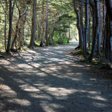 DSC07157 - Path