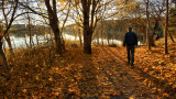 DSC07817 - Walker