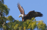 Incoming flight