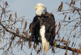 Sunning Herself