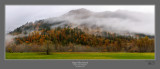 Skagit Valley Pastoral.jpg