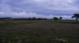 Dull day: farmland