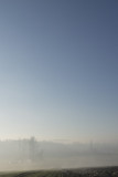 Field, fog, sky