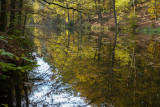 Autumn pond