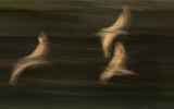 Warp speed