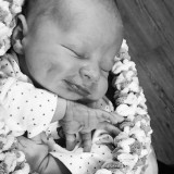 Levi -That little Rosser smirk already