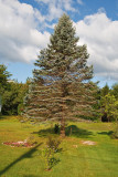 2T1U7916.jpg - Bartlett, NH