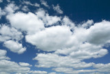 5J6A9781 burnham.jpg