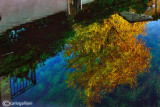 Reflection