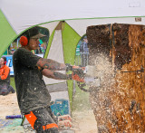 Carve Carrbridge 30th August 2014 022
