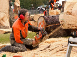 Carve Carrbridge 30th August 2014 045