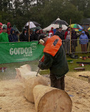 Carve Carrbridge 30th August 2014 058