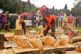 Carve Carrbridge 30th August 2014 093