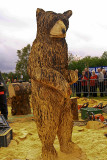 Carve Carrbridge 30th August 2014 174