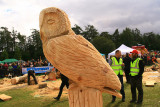 Carve Carrbridge 30th August 2014 185