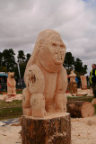 Lee Bannon - Carve Carrbridge 2015