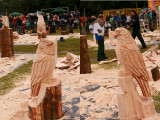 Tim Burgess - Carve Carrbridge 2015