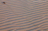 Barra-Nova-Cascavel-Ceara-120821-9123.jpg