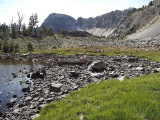 Pond and Bog at 9500'