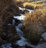 Sunset on Garden Creek