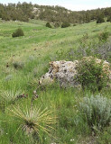 Above Pine Bluffs Rest Area