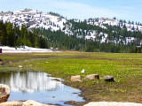 Mirror at Telegraph Flat