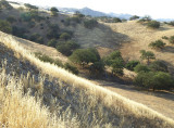 Interior Monterey County