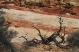 Reaching Past the Layers