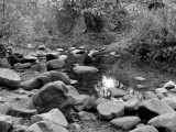 P1010954_DxO - BW.jpg