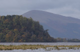 Inchcailloch and Beinn Dubh, Loch Lomond NNR