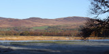 Wards Pond
