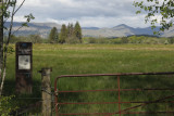 Low Mains, Loch Lomond NNR