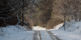 The Old Drymen Road at Garadhban Forest