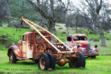 Colorful Truck's :-)