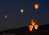 The Great Reno Balloon Race 2014