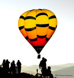 The Great Reno Balloon Race 2014