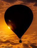 The Great Reno Balloon Race 2015