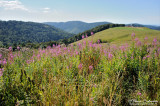 Nature et Paysages - Natur and Landscapes