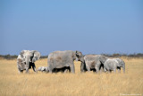 ::Namibia::