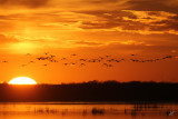 Big Lake Sunset with 400mm Canon lens. Oct 24