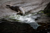 Seward, Alaska CZ2A9434.jpg
