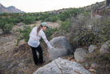 A larger mortar from when the 1st People lived here. CZ2A0995.jpg