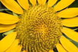 DSC00398.jpg