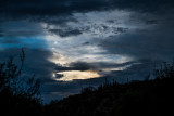 DSC00512.jpg