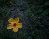 DSC01472.jpg